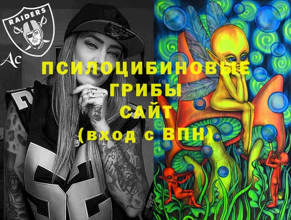 хмурый Краснослободск