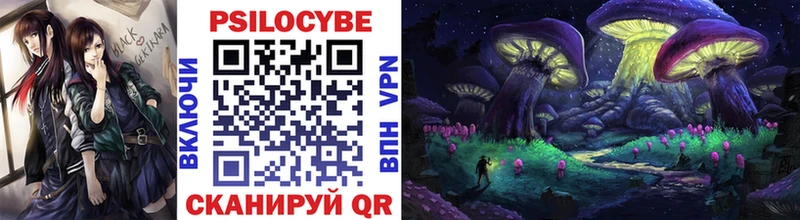 Псилоцибиновые грибы мицелий  Костерёво 